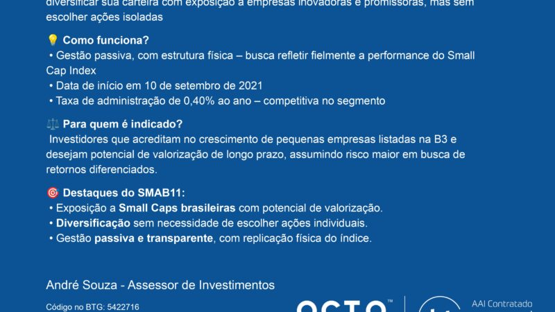SMAB11: O ETF que te conecta ao crescimento das Small Caps brasileiras
