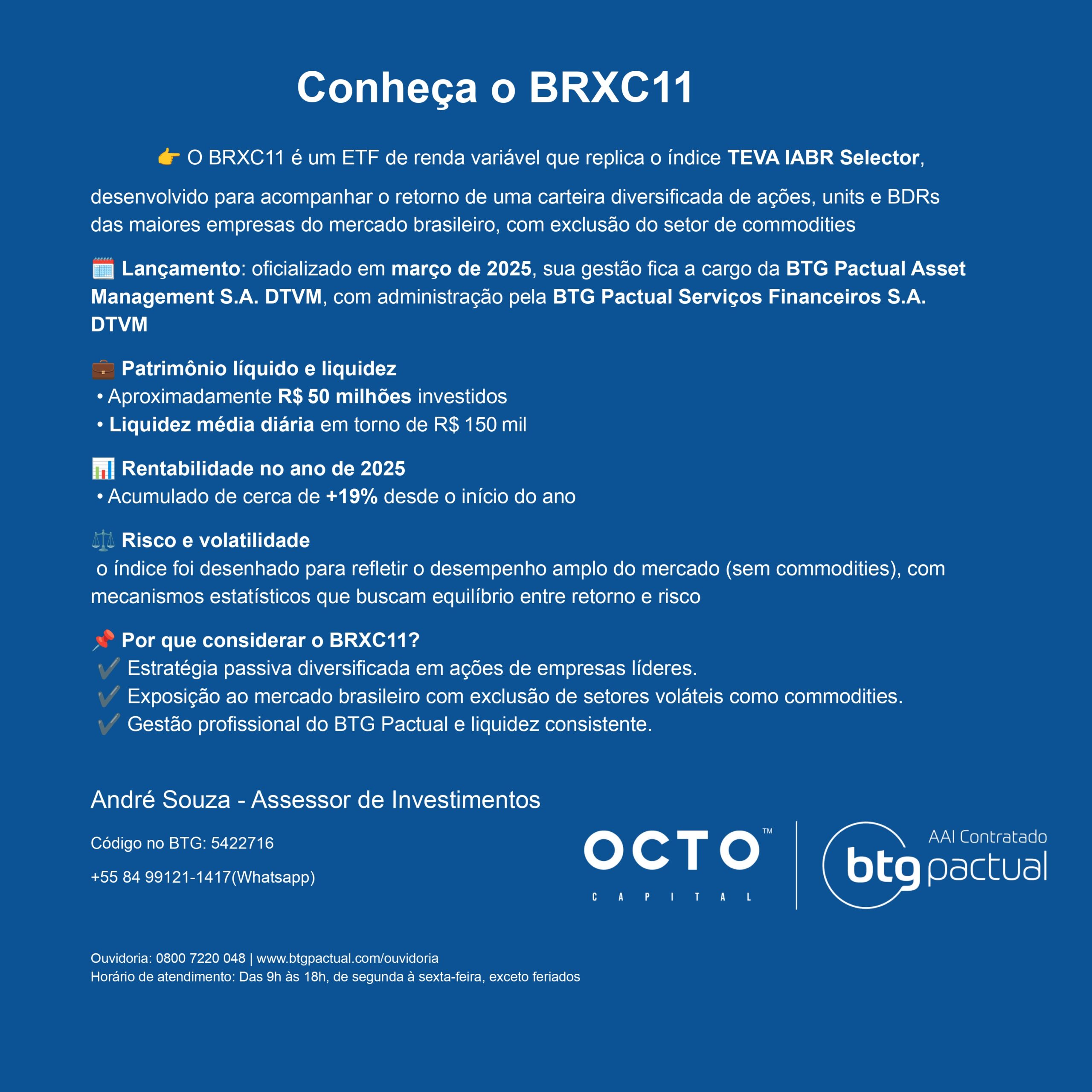 BRXC11: O ETF do BTG que Seleciona as Melhores Ações Brasileiras (Excluindo Commodities)