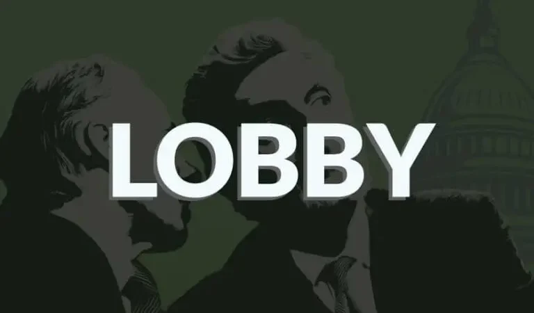 Como Lobbies Econômicos Podem Influenciar a Alocação de Capital, a Desigualdade e o Desenvolvimento Sustentável