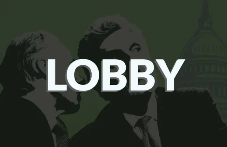 Como Lobbies Econômicos Podem Influenciar a Alocação de Capital, a Desigualdade e o Desenvolvimento Sustentável